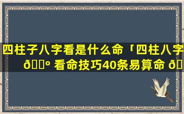 四柱子八字看是什么命「四柱八字 🌺 看命技巧40条易算命 🐋 」